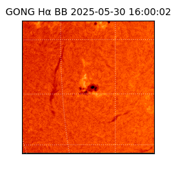 gong - 2025-05-30T16:00:02