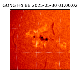 gong - 2025-05-30T01:00:02