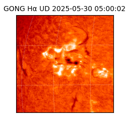 gong - 2025-05-30T05:00:02