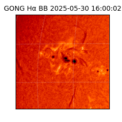 gong - 2025-05-30T16:00:02