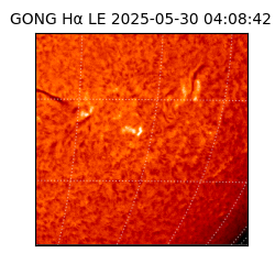 gong - 2025-05-30T04:08:42