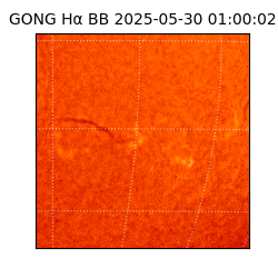 gong - 2025-05-30T01:00:02