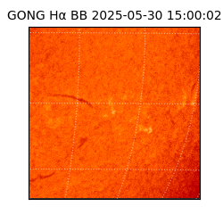 gong - 2025-05-30T15:00:02