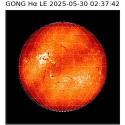 gong - 2025-05-30T02:37:42