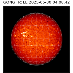 gong - 2025-05-30T04:08:42