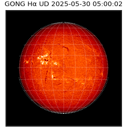 gong - 2025-05-30T05:00:02