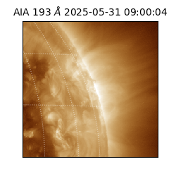 saia - 2025-05-31T09:00:04.843000