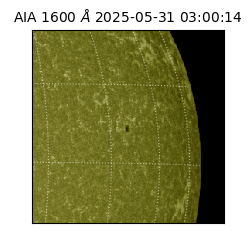 saia - 2025-05-31T03:00:14.125000