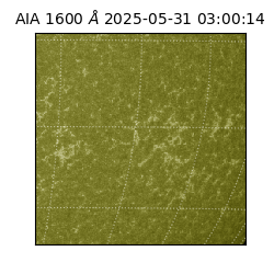 saia - 2025-05-31T03:00:14.125000