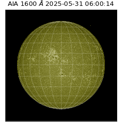 saia - 2025-05-31T06:00:14.125000