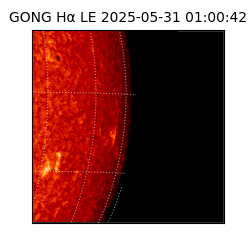 gong - 2025-05-31T01:00:42