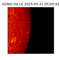 gong - 2025-05-31T05:00:42