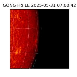 gong - 2025-05-31T07:00:42