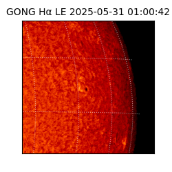 gong - 2025-05-31T01:00:42