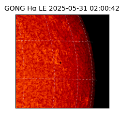 gong - 2025-05-31T02:00:42