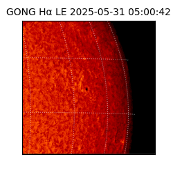 gong - 2025-05-31T05:00:42