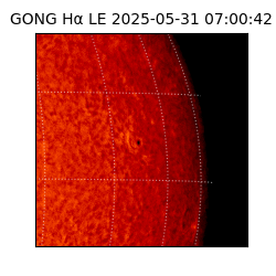 gong - 2025-05-31T07:00:42
