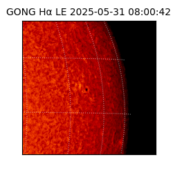 gong - 2025-05-31T08:00:42