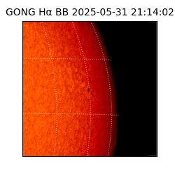 gong - 2025-05-31T21:14:02