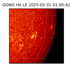 gong - 2025-05-31T01:00:42