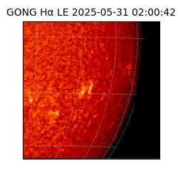 gong - 2025-05-31T02:00:42