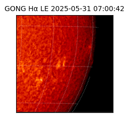 gong - 2025-05-31T07:00:42