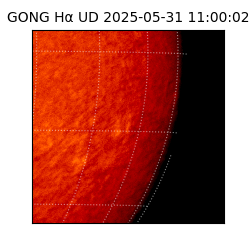 gong - 2025-05-31T11:00:02