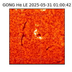 gong - 2025-05-31T01:00:42