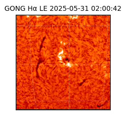 gong - 2025-05-31T02:00:42