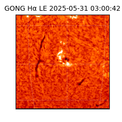 gong - 2025-05-31T03:00:42