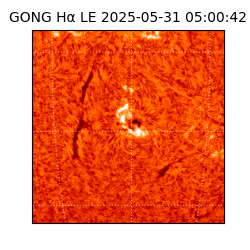 gong - 2025-05-31T05:00:42