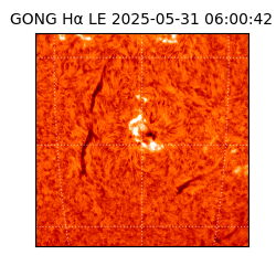 gong - 2025-05-31T06:00:42