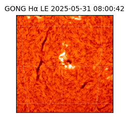 gong - 2025-05-31T08:00:42