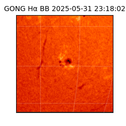 gong - 2025-05-31T23:18:02