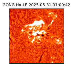 gong - 2025-05-31T01:00:42