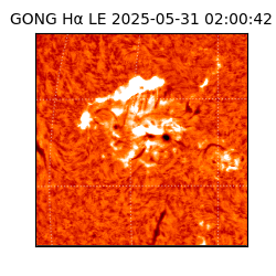 gong - 2025-05-31T02:00:42