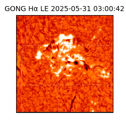 gong - 2025-05-31T03:00:42