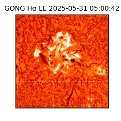 gong - 2025-05-31T05:00:42
