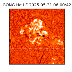 gong - 2025-05-31T06:00:42