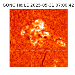 gong - 2025-05-31T07:00:42