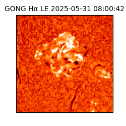 gong - 2025-05-31T08:00:42