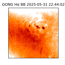 gong - 2025-05-31T22:44:02