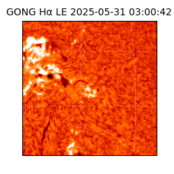 gong - 2025-05-31T03:00:42