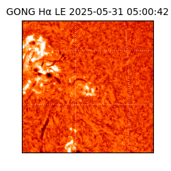 gong - 2025-05-31T05:00:42