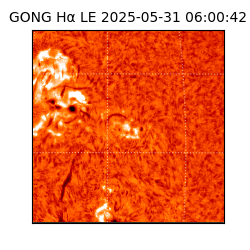 gong - 2025-05-31T06:00:42