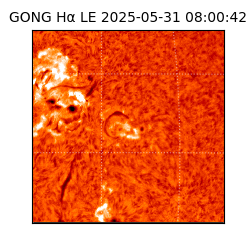 gong - 2025-05-31T08:00:42