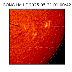 gong - 2025-05-31T01:00:42