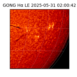 gong - 2025-05-31T02:00:42