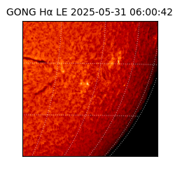 gong - 2025-05-31T06:00:42