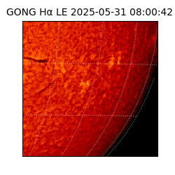 gong - 2025-05-31T08:00:42